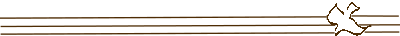NewTestament Survey